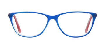 Maxwell glasses.