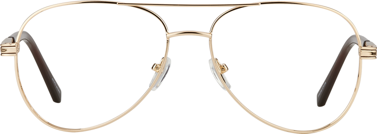 Aviator 53 Eyeglasses by